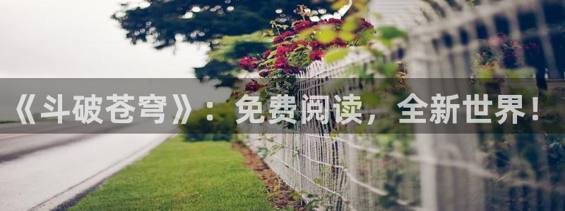 汗汗漫画网站官网：《斗破苍穹》：免费阅读，全新世界！