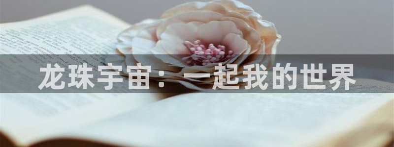 汗汗漫画免费看：龙珠宇宙：一起我的世界