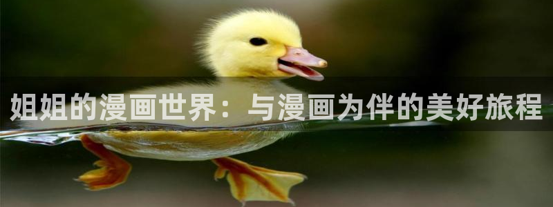 韩国无遮挡免费漫画汗汗漫画：姐姐的漫画世界：与漫画为伴的美好旅程